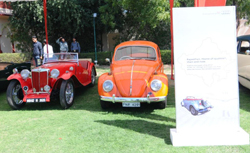 Vintage Cars on Display