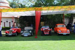 Vintage Cars on Display